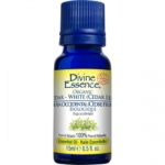 HE THUYA OCCIDENTAL(RM) 15ML