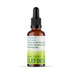 Curcuma Bio Teinture 50ML