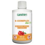 B COMPLEX ZEN 500ML