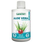 ALOÈ VERA JUS GRENADE 500ML