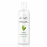 SHAMPOING ET NETTOYANT CORPS MENTHE 360ML