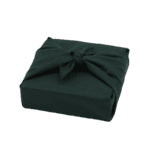 EMBALLAGE CADEAU VERT RÉUTILISABLE PETIT
