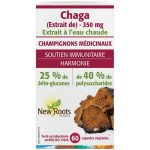CHAGA EXTRAIT 350MG 60 V-CAPSULES