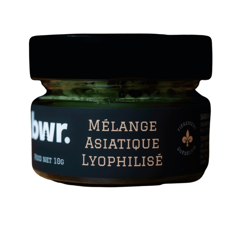 MÉLANGE ASIATIQUE LYOPHILISÉ 13G
